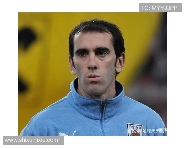 足球赛事中的美女球星推荐 让你在赛场与美丽同行